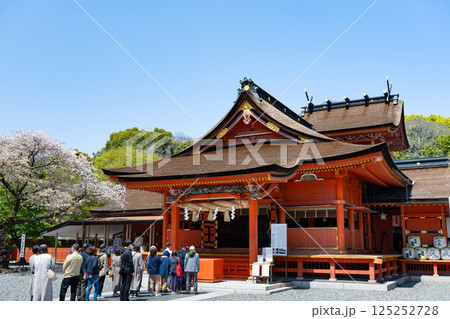 静岡県富士宮市　春の富士山本宮浅間大社 125252728