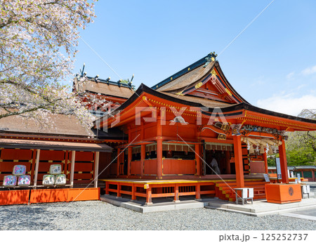 静岡県富士宮市　春の富士山本宮浅間大社 125252737