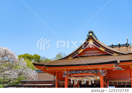 静岡県富士宮市　春の富士山本宮浅間大社 125252739