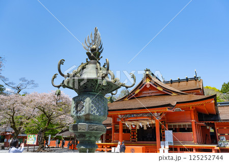 静岡県富士宮市　春の富士山本宮浅間大社 125252744