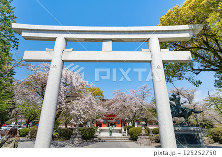 静岡県富士宮市　春の富士山本宮浅間大社 125252750