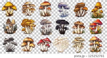 Set of colorful mushrooms growing on transparent background 125252781