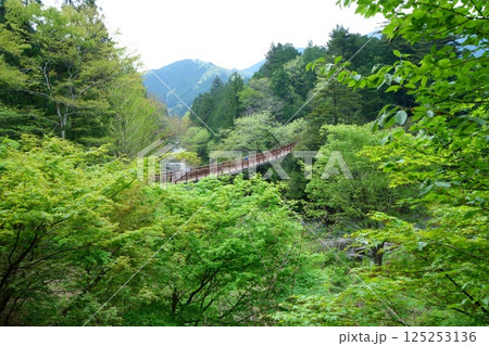 秋川渓谷・石舟橋 秋川渓谷・石舟橋 125253136