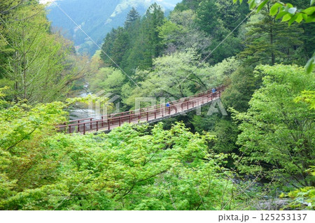 秋川渓谷・石舟橋 125253137