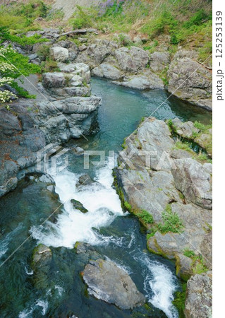 新緑の秋川渓谷 新緑の秋川渓谷 125253139