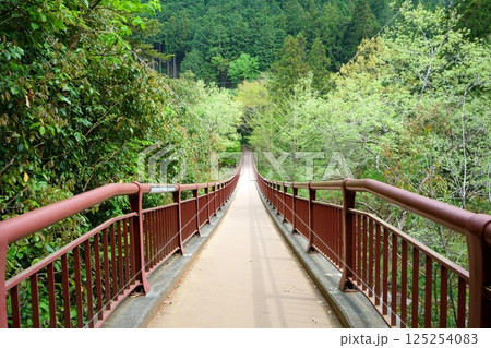 秋川渓谷・石舟橋 秋川渓谷・石舟橋 125254083
