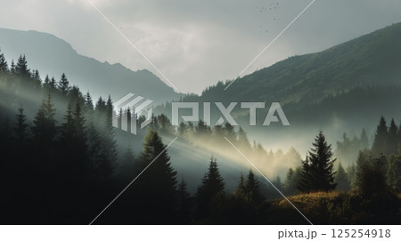 fog in the mountains 125254918