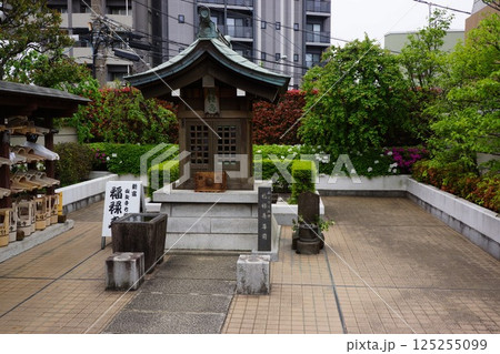 東京都新宿区新宿7丁目の永福寺の風景 125255099