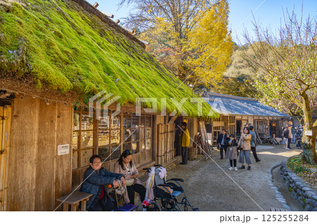 秋の紅葉に包まれた豊田市の香嵐渓の風景(愛知県) 125255284