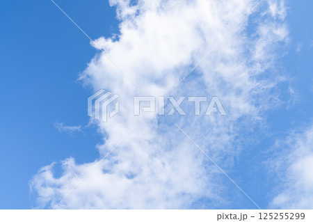 青空に浮かぶ雲 125255299