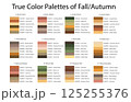 Colour Swatches Combinations 12x6 True Colors of Fall or Autumn - 3d Light Soft, Muted, Pastel Tones - with HEX Codes and Names, Color Palette, Scheme, Chart 125255376