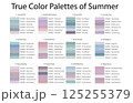 Colour Swatches Combinations 12x6 True Colors of Summer - 3d Light Soft, Muted, Pastel Tones - with HEX Codes and Names, Color Palette, Scheme, Chart 125255379