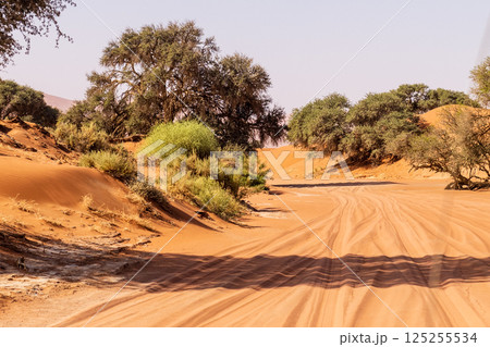 Desert landscape near Sossusvlei 125255534