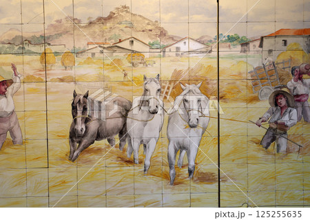 Ceramic azulejos on a wall in Lisbon, Portugal 125255635