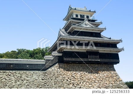 中津城 125256333