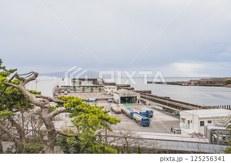 富士市の富士と港の見える公園の展望台から見た風景(静岡県) 125256341