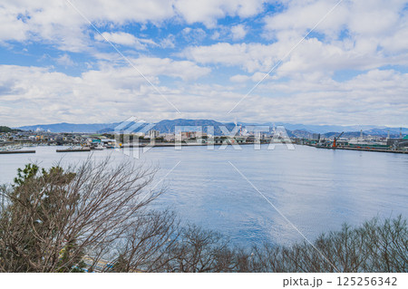 富士市の富士と港の見える公園の展望台から見た風景(静岡県) 富士市の富士と港の見える公園の展望台から見た風景(静岡県) 125256342