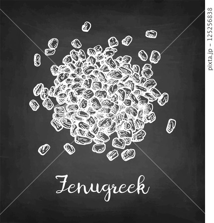 Fenugreek seeds chalk sketch 125256838