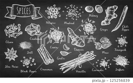 Big set of spices. Chalk sketch. 125256839