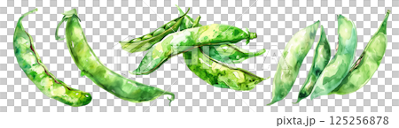 Set of fresh vegetable, green pea in watercolor style isolated on a transparent background. Set of fresh vegetable, green pea in watercolor style isolated on a transparent background. 125256878