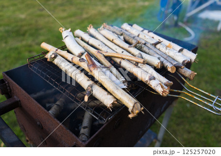 Thin birch twigs are lying on the grill. firewood is lying on the grill Thin birch twigs are lying on the grill. firewood is lying on the grill 125257020