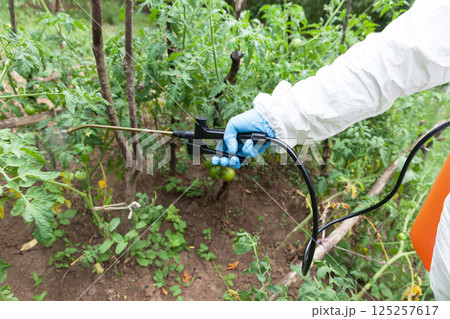 Herbicide spraying. Non-organic vegetables. 125257617