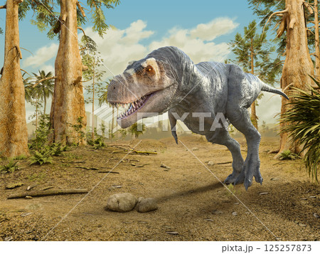 Tyrannosaurus rex walking Tyrannosaurus rex walking 125257873
