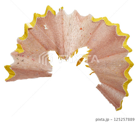 Curled yellow pencil shaving on isolated background. Close up 125257889