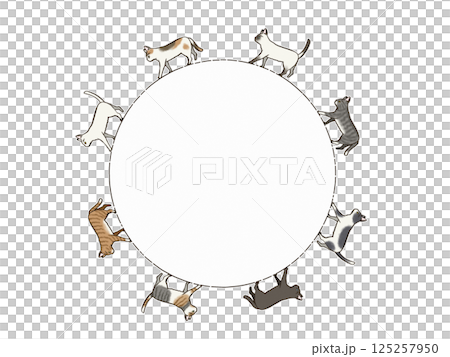 一組短毛貓繞圈行走 一組短毛貓繞圈行走 125257950