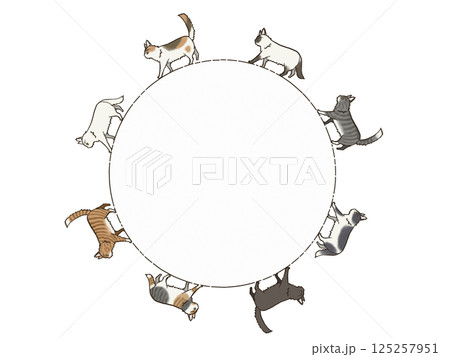 円状に歩く長毛腫猫セット 125257951