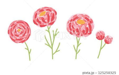 Pink peonies flower set isolated background vector illustration Pink peonies flower set isolated background vector illustration 125258325