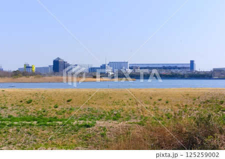 千葉県市川市市川野鳥の楽園周辺2025年3月 千葉県市川市市川野鳥の楽園周辺2025年3月 125259002