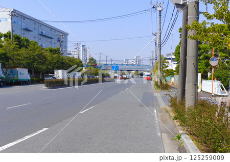 千葉県市川市南行徳駅前通り2025年3月 千葉県市川市南行徳駅前通り2025年3月 125259009