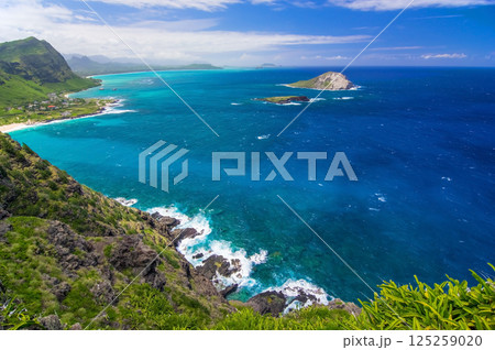 ハワイの風景【マカプウ岬トレイル・マカプウビーチ】 ハワイの風景【マカプウ岬トレイル・マカプウビーチ】 125259020
