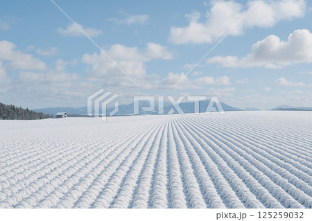 北海道の農村風景　美瑛　雪景色 125259032