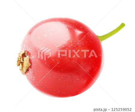 One berry of red currants isolated on white background 125259052
