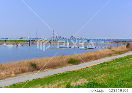 千葉県市川市江戸川河口付近2025年3月 125259101
