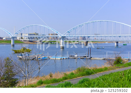 千葉県市川市江戸川河口付近2025年3月 125259102