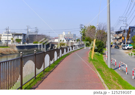 千葉県市川市真間川沿いの風景2025年3月 125259107