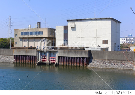 千葉県市川市湊水門周辺2025年3月 千葉県市川市湊水門周辺2025年3月 125259118