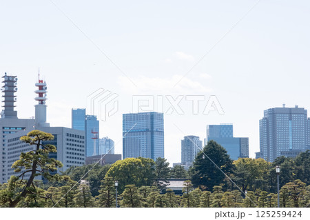 皇居前広場から見たビル群 125259424