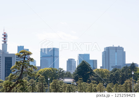 皇居前広場から見たビル群 125259425