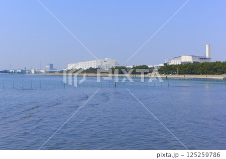 千葉県船橋市三番瀬干潟周辺2025年3月 125259786