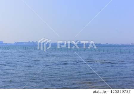 千葉県船橋市三番瀬干潟周辺2025年3月 千葉県船橋市三番瀬干潟周辺2025年3月 125259787