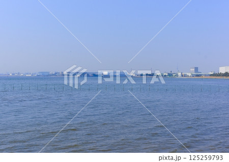 千葉県船橋市三番瀬干潟周辺2025年3月 125259793