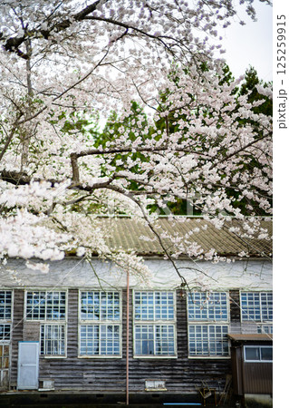 桜と廃校舎 桜と廃校舎 125259915