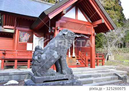 春の北海道北斗市で矢不来天満宮境内の風景を撮影 春の北海道北斗市で矢不来天満宮境内の風景を撮影 125260075