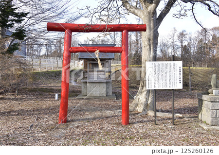 春の北海道北斗市で小高神社境内の風景を撮影 125260126