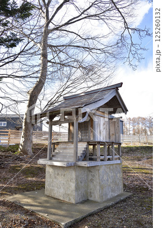 春の北海道北斗市で小高神社境内の風景を撮影 125260132