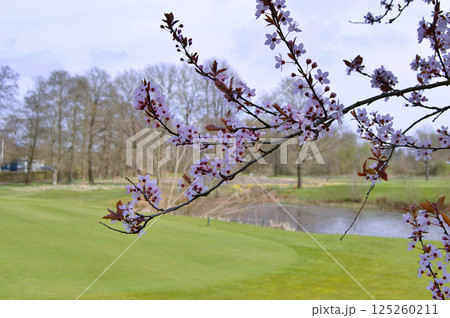 Travel to Scandinavia during summer on holiday,Herning in Denmark 125260211
